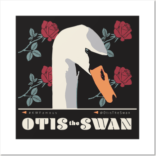 Otis the Swan Posters and Art